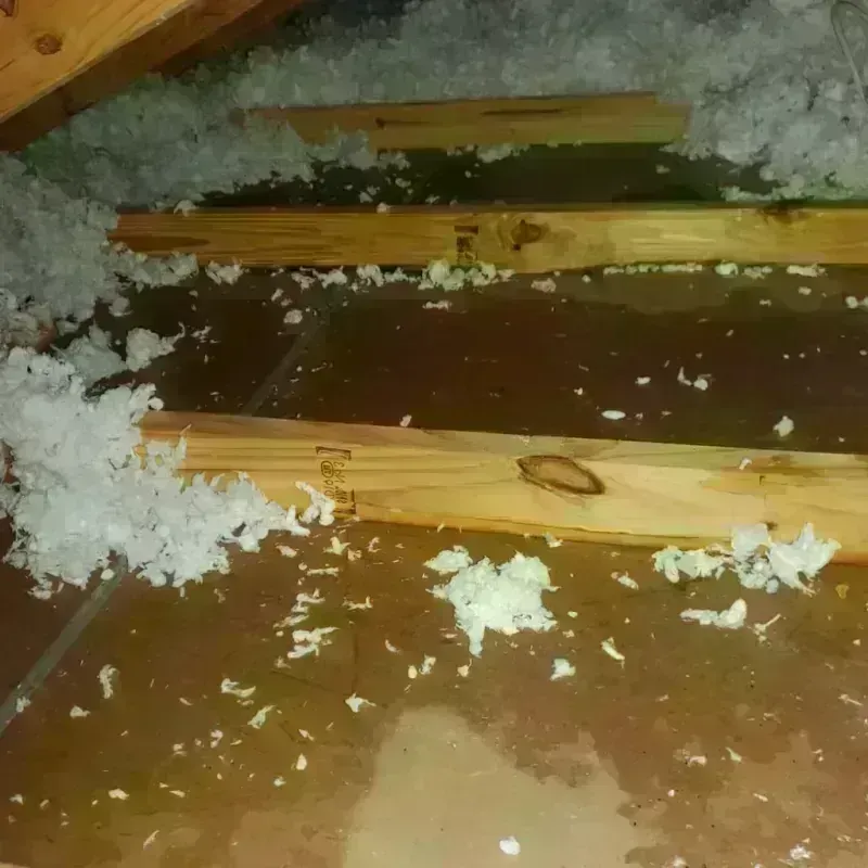 Attic Water Damage in Colonial Heights, TN